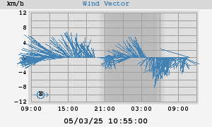 Wind Vector