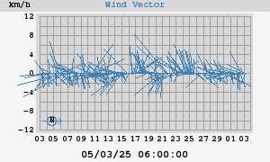 Wind Vector