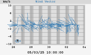 Wind Vector