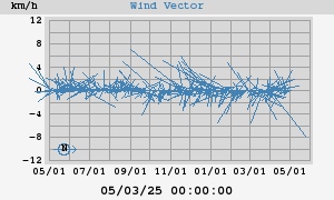 Wind Vector